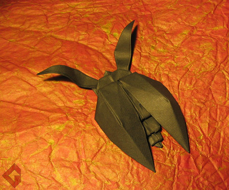 Beetle designed and folded by Grzegorz Bubniak