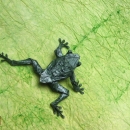Tree Frog (Robert Lang)